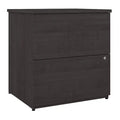 2-Drawer Lateral File Cabinet