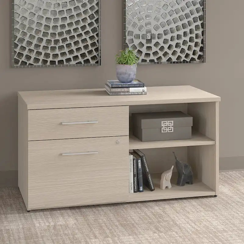 Low Storage Cabinet with File Drawer