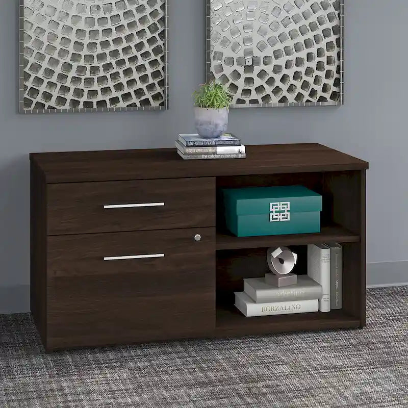 Low Storage Cabinet with File Drawer